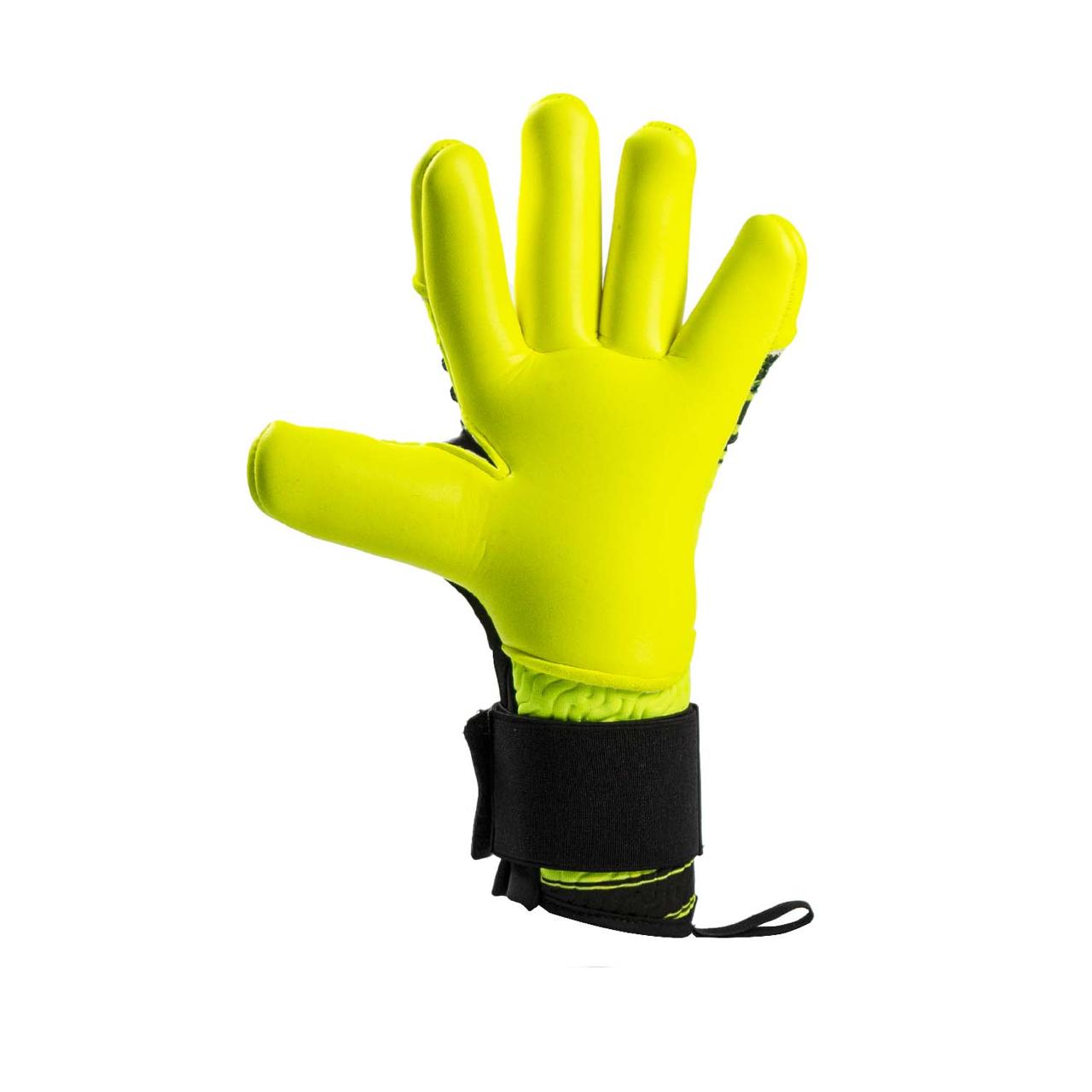 WhatsApp Image 2025-05-05 at 12.59.27 PM